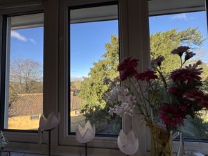 view from kitchen- click for photo gallery